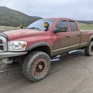 AllAmericanRam